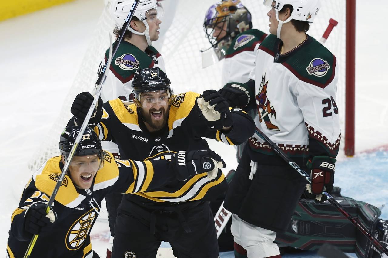 CORRECTS THAT GOAL WAS DISALLOWED - Boston Bruins' Nick Foligno (17) celebrates after an apparent g...