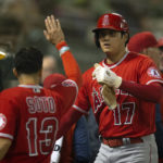 
              Los Angeles Angels designated hitter Shohei Ohtani (17) is greeted by his teammates after he scored on a double by Taylor Ward during the fifth inning of a baseball game against the Oakland Athletics, Monday, Oct. 3, 2022, in Oakland, Calif. (AP Photo/D. Ross Cameron)
            