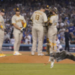 
              A goose lands in the infield during the eighth inning in Game 2 of a baseball NL Division Series between the Los Angeles Dodgers and the San Diego Padres, Wednesday, Oct. 12, 2022, in Los Angeles. (AP Photo/Mark J. Terrill)
            