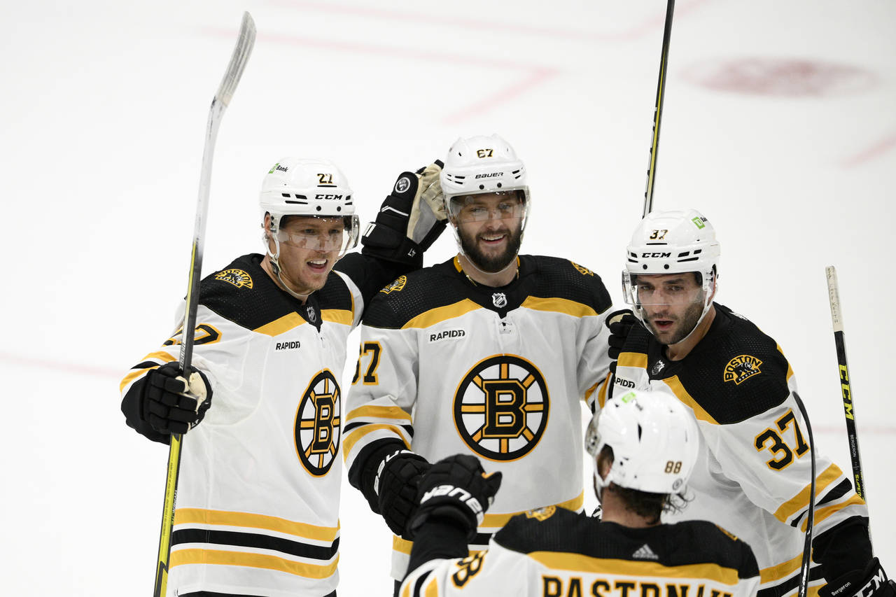 Boston Bruins defenseman Hampus Lindholm (27) celebrates his goal with right wing David Pastrnak (8...