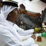 
              Qatari Abdulaziz Alansi, 16, speaks to his brother as he holds a falcon for sale in a shop in Doha, Qatar, Saturday, Nov. 19, 2022. Qatar has become synonymous with soccer since winning the rights to host the FIFA World Cup that opens on Sunday. But another sport is flying high in the historic center of Doha as over a million foreign fans flock to the tiny emirate: Falconry. (AP Photo/Jon Gambrell)
            