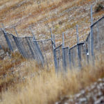 
              A chain-link fence marks the boundary of a contentious plot of land in Vail, Colo., on Oct. 25, 2022. For more than six years, Vail Resorts has been trying to build apartments for about 160 of its workers on the property called Booth Heights. Opponents say the project would encroach on the bighorn sheep herd that frequents the area. (AP Photo/Thomas Peipert)
            