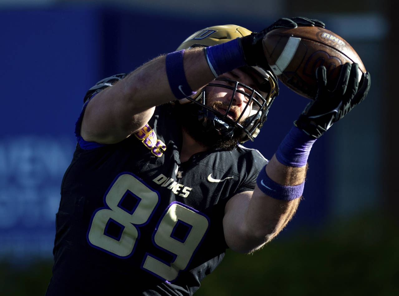 James Madison tight end Drew Painter (89) hauls in a touchdown pass during the second half of an NC...