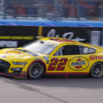 
              Joey Logano drives during qualifying for the NASCAR Cup Series auto race Saturday, Nov. 5, 2022, in Avondale, Ariz. (AP Photo/Rick Scuteri)
            