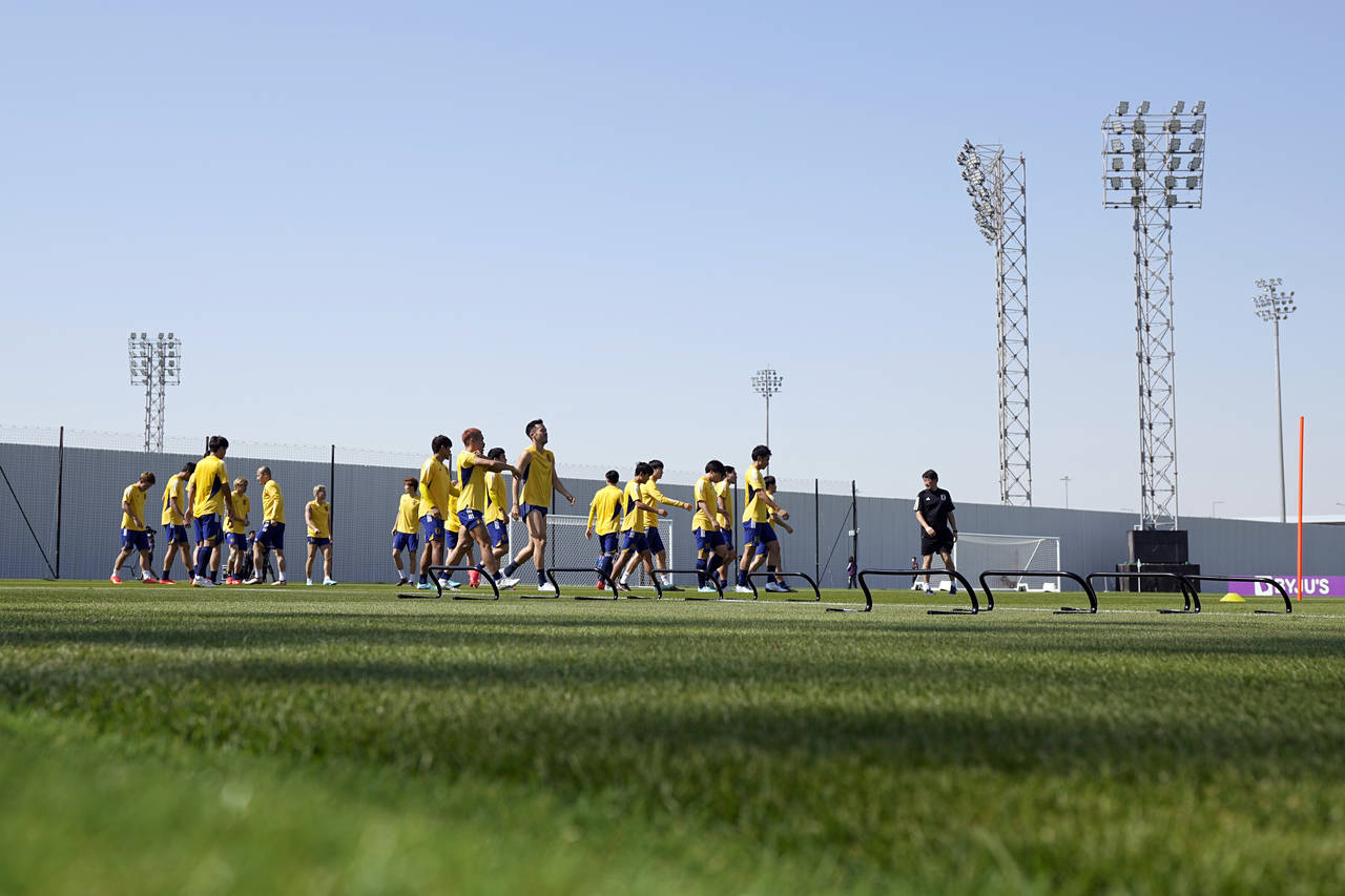 Players warm up during Japan official training on the eve of the group E of World Cup soccer match ...