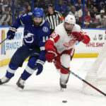 
              Detroit Red Wings defenseman Jake Walman (96) knocks the puck away from Tampa Bay Lightning left wing Pat Maroon (14) during the second period of an NHL hockey game Tuesday, Dec. 6, 2022, in Tampa, Fla. (AP Photo/Chris O'Meara)
            