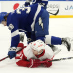 
              Tampa Bay Lightning left wing Brandon Hagel (38) knocks down Detroit Red Wings left wing Dominik Kubalik (81) during the first period of an NHL hockey game Tuesday, Dec. 6, 2022, in Tampa, Fla. (AP Photo/Chris O'Meara)
            