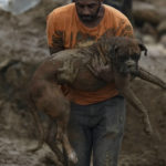 
              A man carries a dog rescued from a residential area destroyed by mudslides in Petropolis, Brazil, on Feb. 16, 2022. (AP Photo/Silvia Izquierdo)
            