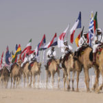 
              Camel parade with flags during a pageant at the Qatar camel Mzayen Club, in Ash- Shahaniyah, Qatar, Friday, Dec. 2, 2022. (AP Photo/Alessandra Tarantino)
            