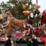 
              The "Western Asset," float built by Phoenix, winner of the Judges award, for the most outstanding float design and dramatic impact in the 134th Rose Parade presented by Honda, rolls down Colorado Boulevard at the 134th Rose Parade in Pasadena, Calif., Monday, Jan. 2, 2023. (AP Photo/Michael Owen Baker)
            