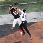 
              Baltimore Ravens cornerback Marcus Peters (24) breaks up a pass intended for Cincinnati Bengals wide receiver Tee Higgins (85) in the first half of an NFL wild-card playoff football game in Cincinnati, Sunday, Jan. 15, 2023. (AP Photo/Joshua A. Bickel)
            