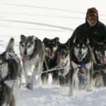 
              FILE - Martin Buser drives his team off of the Takotna River and into the Takotna, Alaska, checkpoint on the Iditarod Trail Sled Dog Race on March 11, 2009. Only 33 mushers will participate in the ceremonial start of the Iditarod on Saturday, March 4, the smallest field ever to take their dog teams nearly 1,000 miles (1,609 kilometers) over Alaska's unforgiving wilderness. This year's lineup is smaller even than the 34 mushers who lined up for the very first race in 1973. (AP Photo/Al Grillo, File)
            