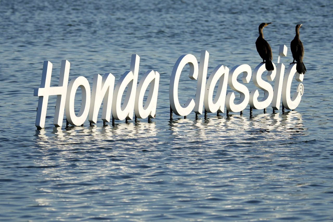 Cormorants sit on a Honda Classic sign near the 18th green during the third round of the Honda Clas...