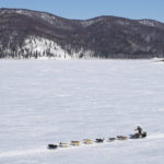 
              FILE - Brent Sass heads down the Yukon River between Ruby and Galena, Alaska, on March 13, 2020, during the Iditarod Trail Sled Dog Race. Only 33 mushers will participate in the ceremonial start of the Iditarod on Saturday, March 4, the smallest field ever. (Loren Holmes/Anchorage Daily News via AP, File)
            