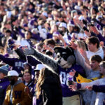 SEATTLE, WASHINGTON - NOVEMBER 25: Fans cheer in the 115th Apple Cup between the Washington Huskies and the Washington State Cougars at Husky Stadium on November 25, 2023 in Seattle, Washington. (Photo by Steph Chambers/Getty Images)
