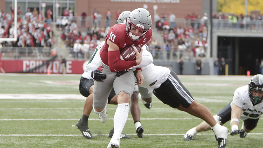 WSU Cougars John Mateer TD run Hawaii 2024...