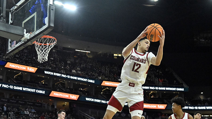 WSU Cougars Isaiah Watts men's basketball hoops WCC...