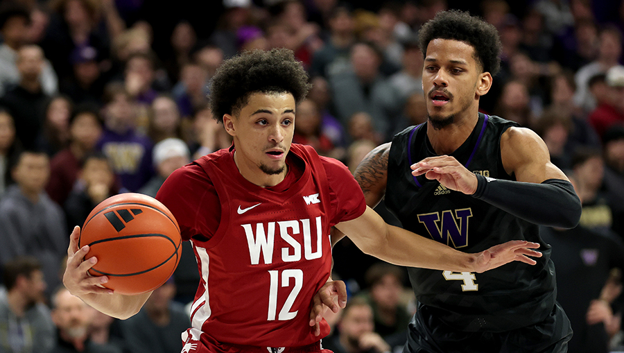 UW Huskies WSU Cougars...