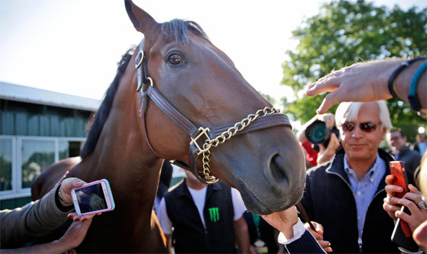 American Pharoah became the first horse since 1978 to win the Triple Crown. (AP)...