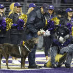 The Washington Huskies' mascot, Harry, takes part in a ceremony honoring a retiring University of Washington Police K9 dog during the first half of an NCAA college football game between Washington and Utah, Saturday, Nov. 7, 2015, in Seattle. (AP Photo/Ted S. Warren)