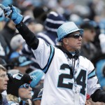 A Carolina Panthers fan cheers during the first half of an NFL divisional playoff football game between the Carolina Panthers and the Seattle Seahawks, Sunday, Jan. 17, 2016, in Charlotte, N.C. (AP Photo/Bob Leverone)